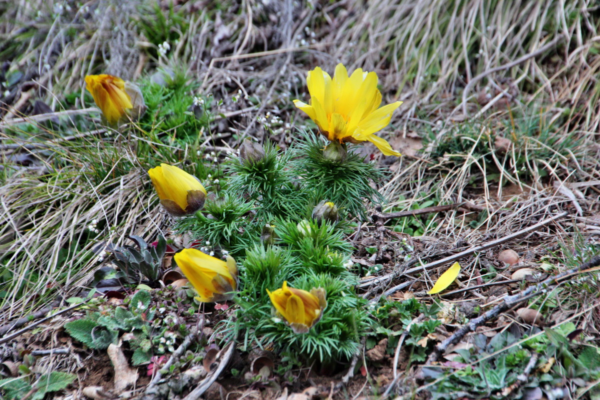 2014_03_11_00037295p_Bildgr��e �ndern