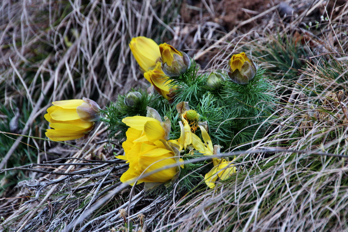 2014_03_11_00037297p_Bildgr��e �ndern