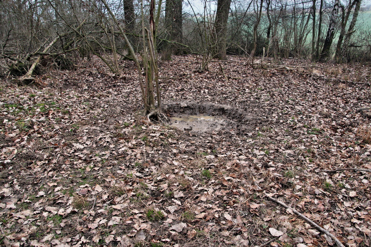 2014_03_11_00037303p_Bildgr��e �ndern