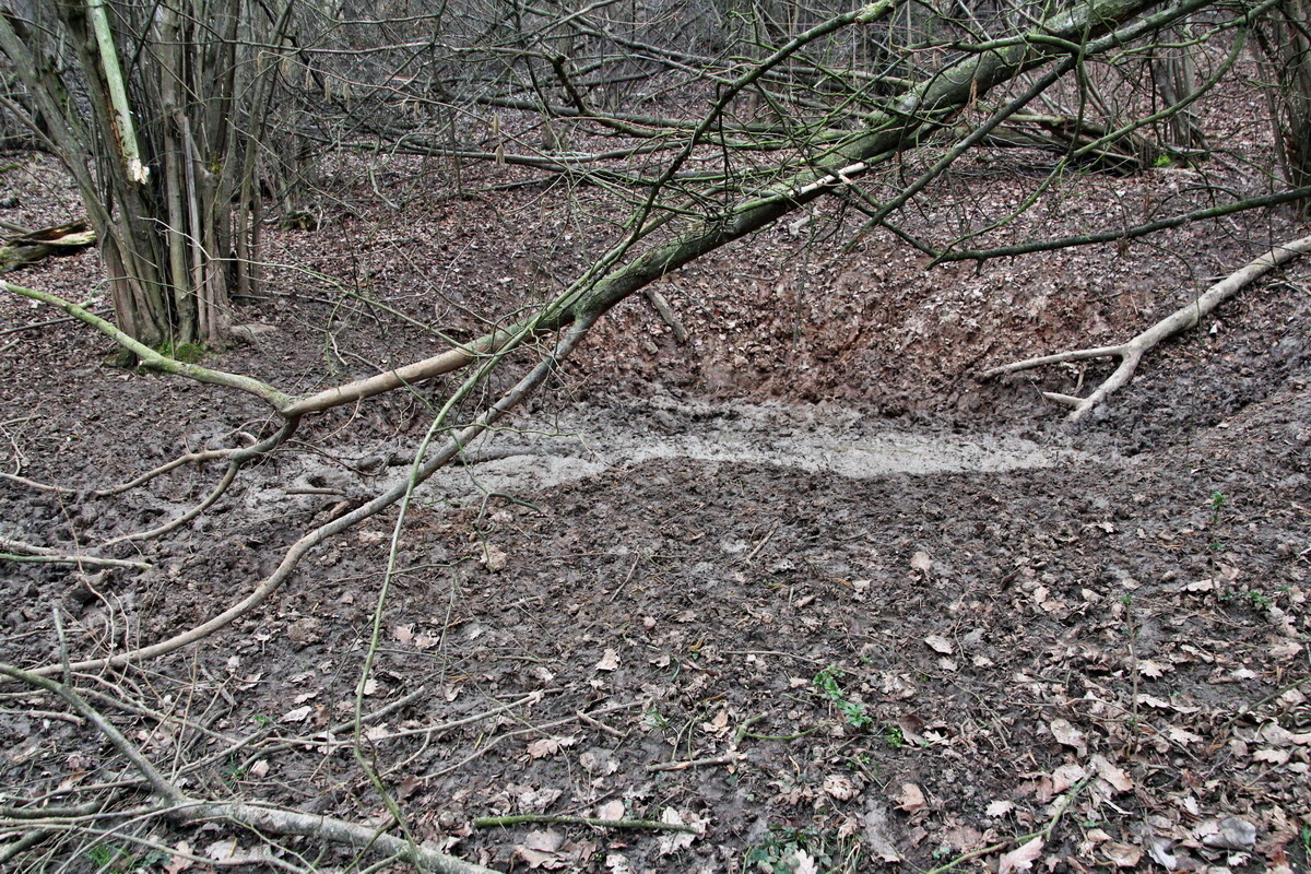 2014_03_11_00037305p_Bildgr��e �ndern