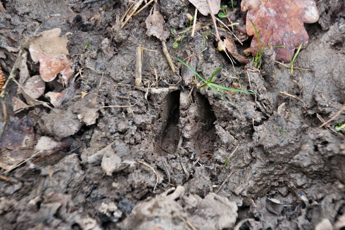 2014_03_11_00037306p_Bildgr��e �ndern