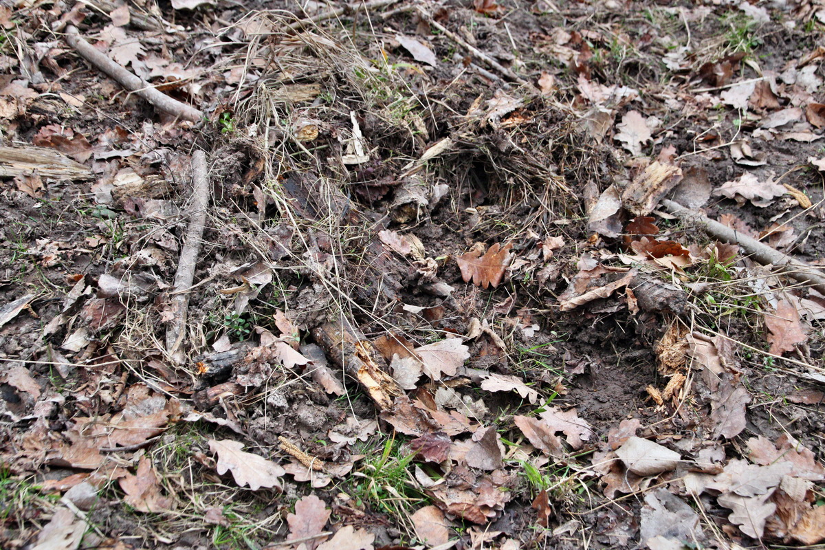 2014_03_11_00037308p_Bildgr��e �ndern