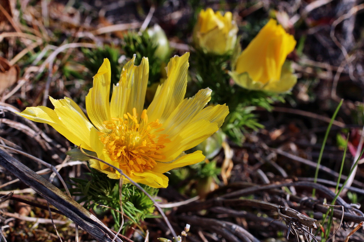 2014_03_14_00037345p_Bildgr��e �ndern