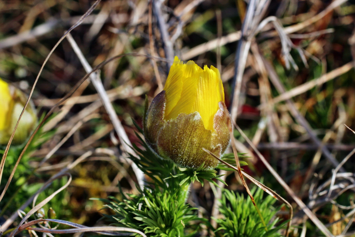 2014_03_14_00037347p_Bildgr��e �ndern