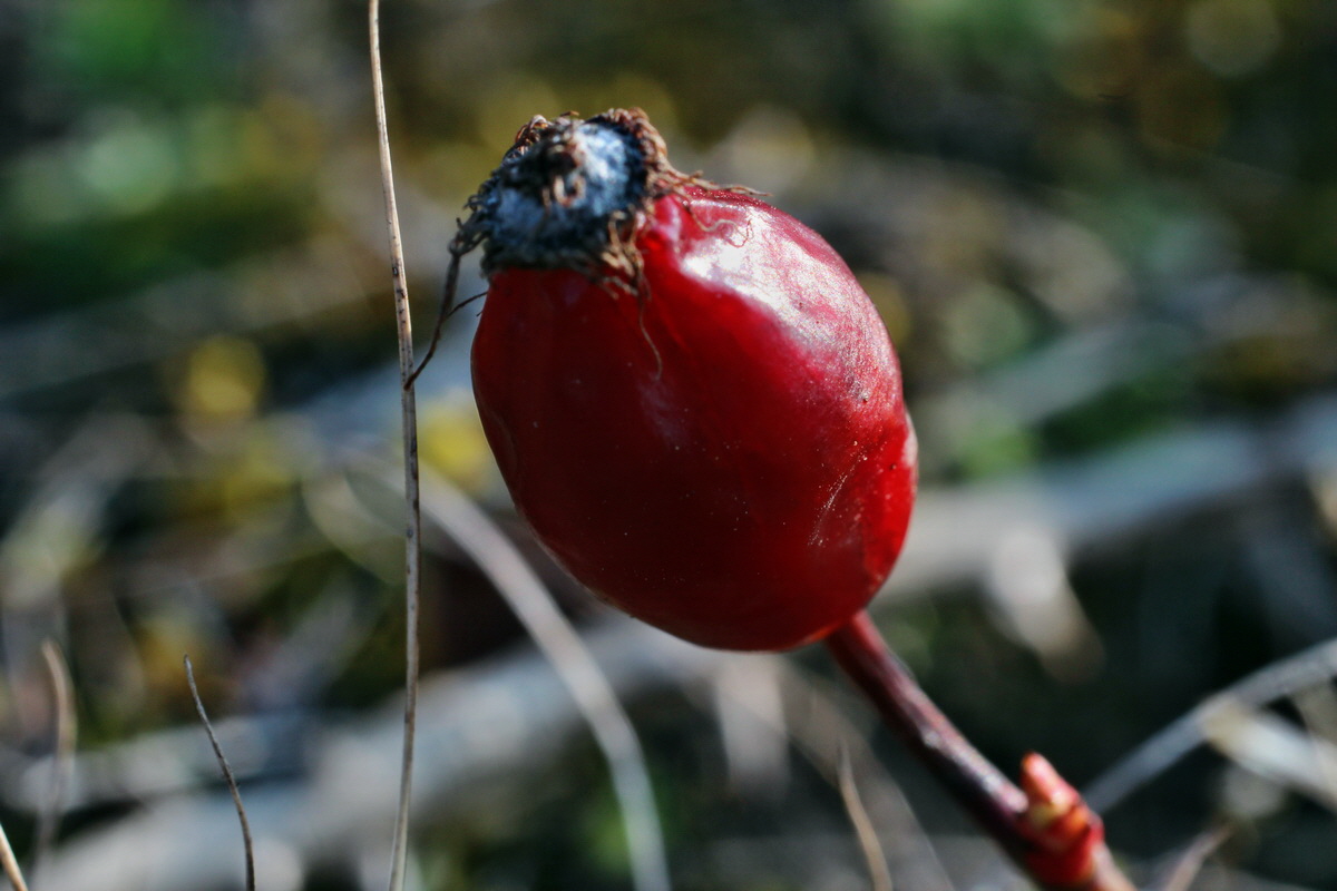 2014_03_14_00037351p_Bildgr��e �ndern