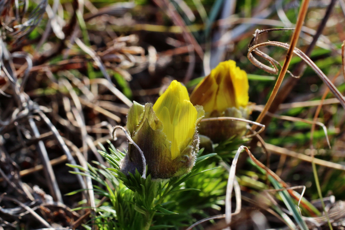 2014_03_14_00037357p_Bildgr��e �ndern