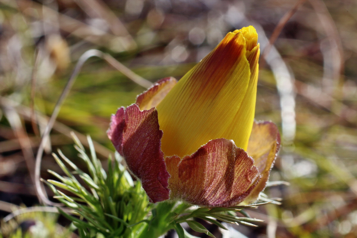 2014_03_14_00037359p_Bildgr��e �ndern