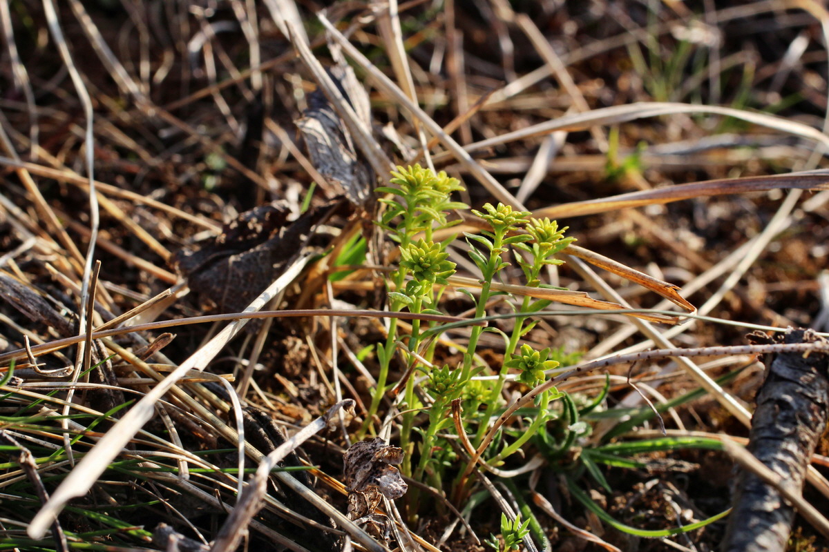 2014_03_14_00037362p_Bildgr��e �ndern