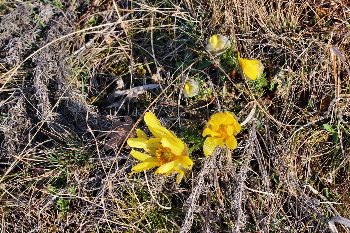 2014_03_14_00037372p_Bildgr��e �ndern