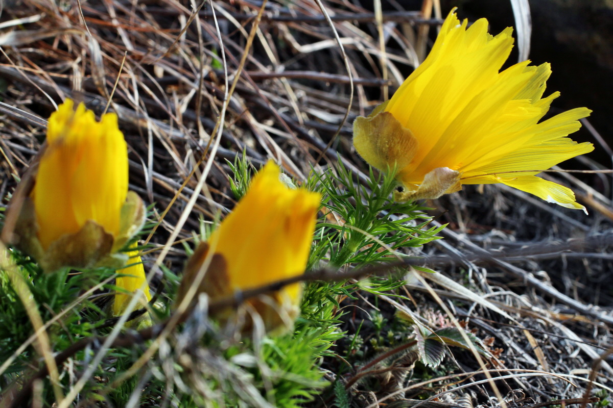 2014_03_14_00037377p_Bildgr��e �ndern