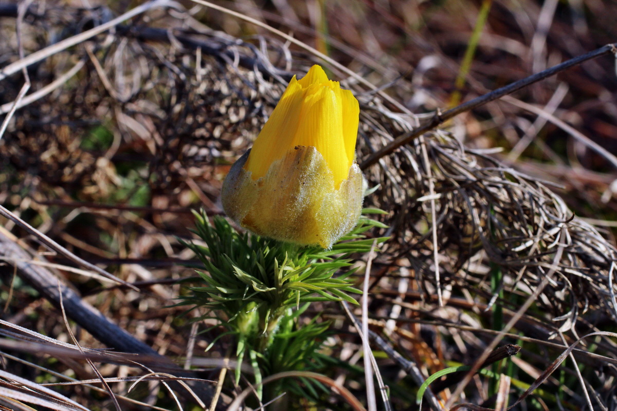 2014_03_14_00037393p_Bildgr��e �ndern