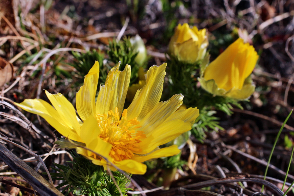 2014_03_14_00037395p_Bildgr��e �ndern