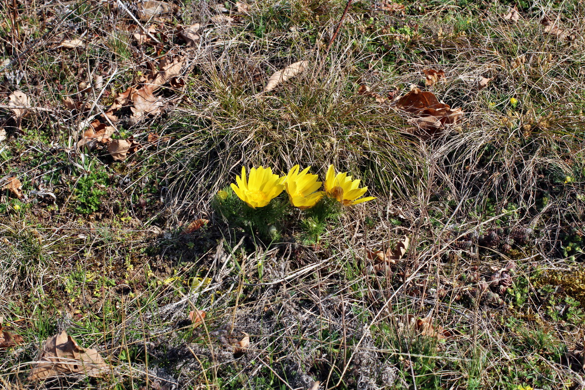 2014_03_14_00037397p_Bildgr��e �ndern