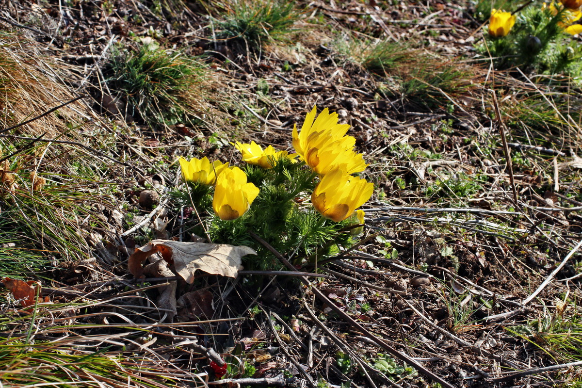 2014_03_14_00037400p_Bildgr��e �ndern