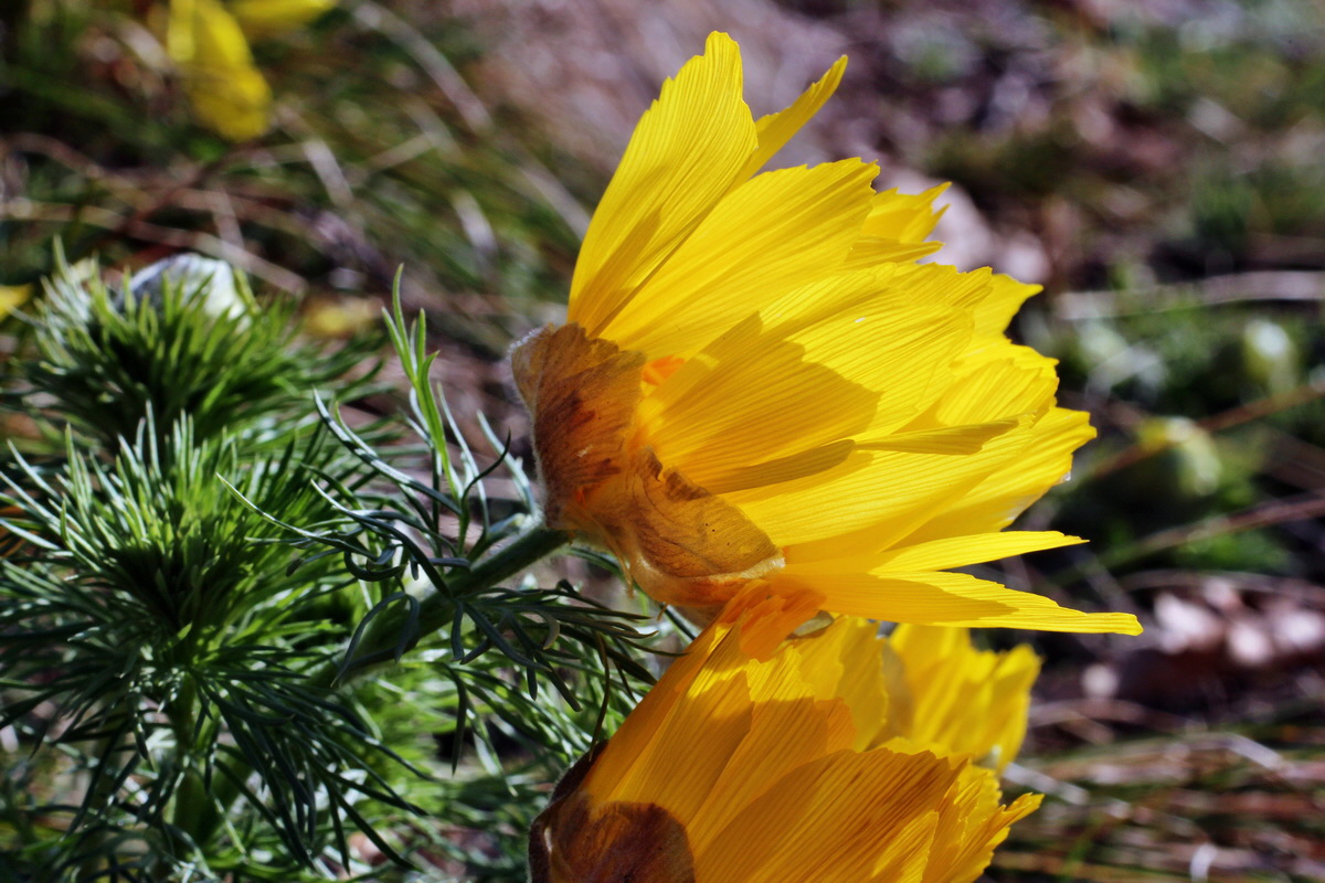 2014_03_14_00037405p_Bildgr��e �ndern