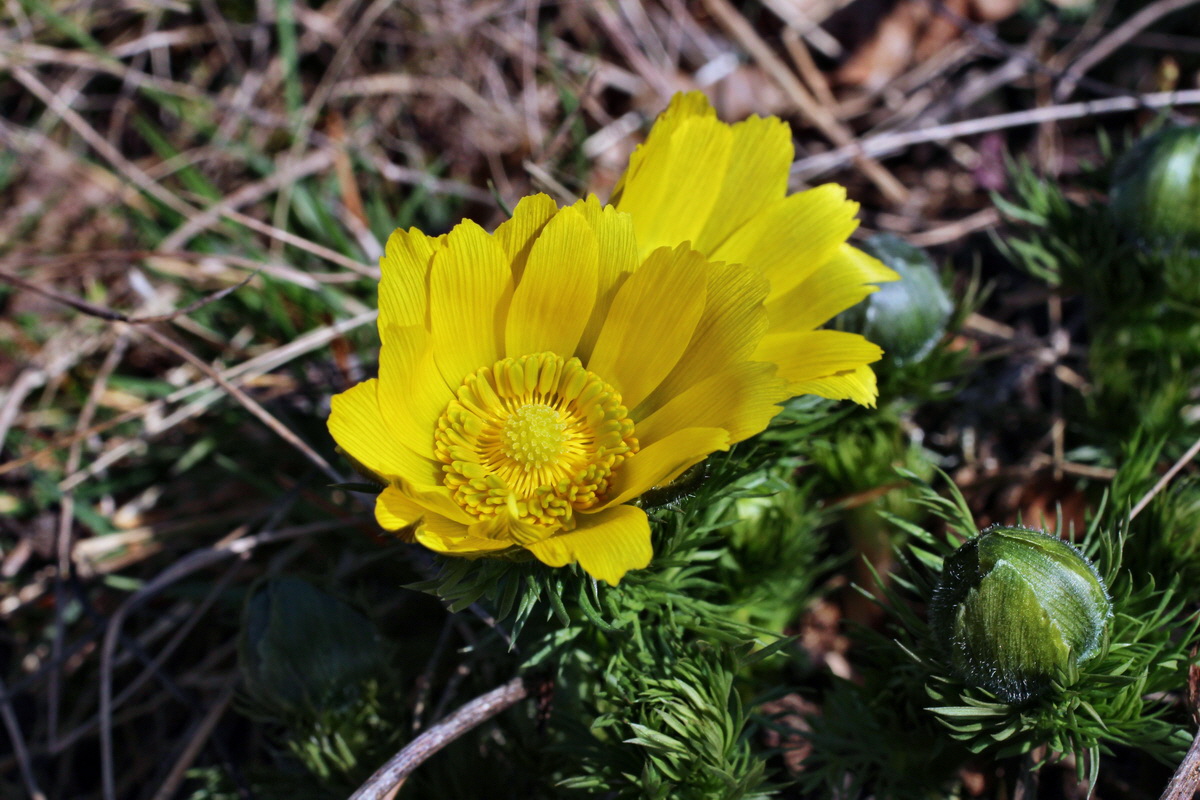 2014_03_14_00037408p_Bildgr��e �ndern