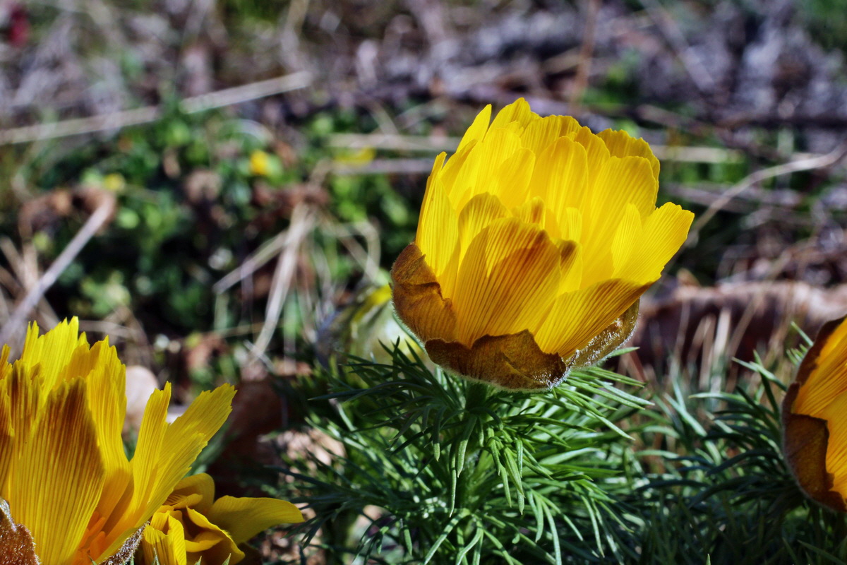 2014_03_14_00037410p_Bildgr��e �ndern