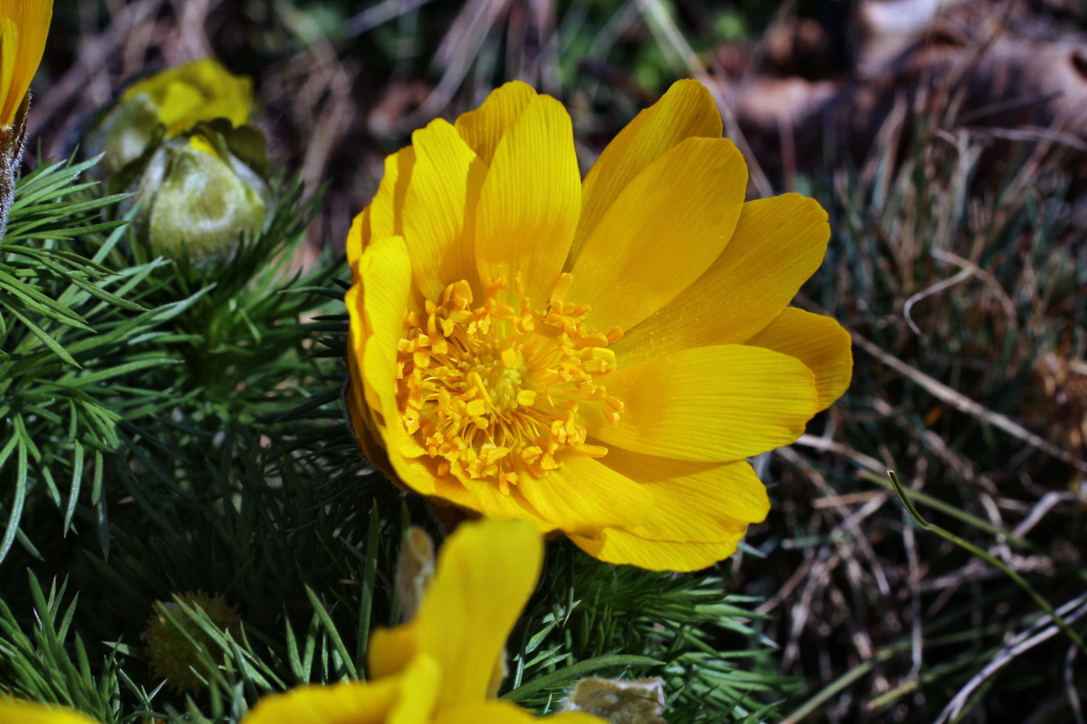 2014_03_14_00037413p_Bildgr��e �ndern