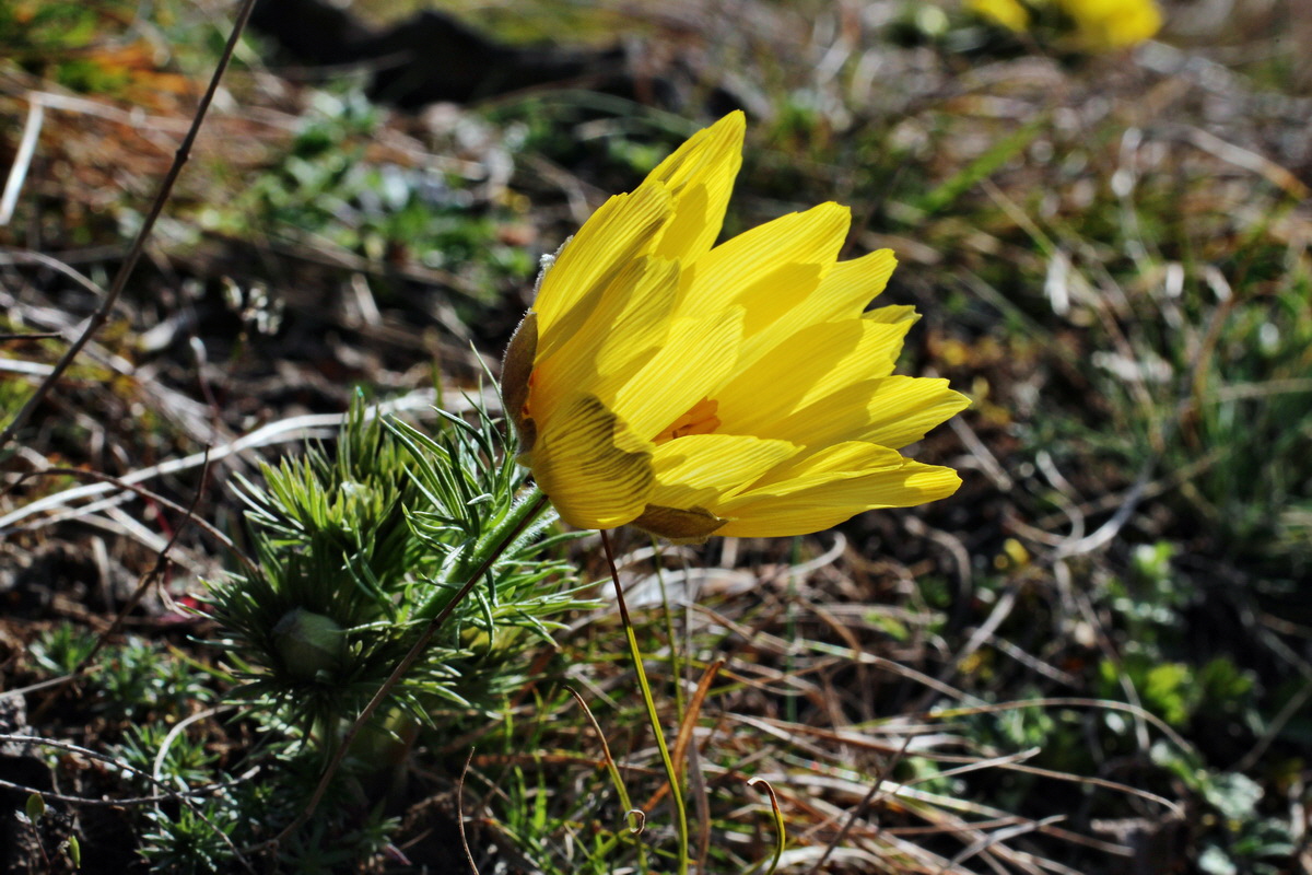 2014_03_14_00037415p_Bildgr��e �ndern