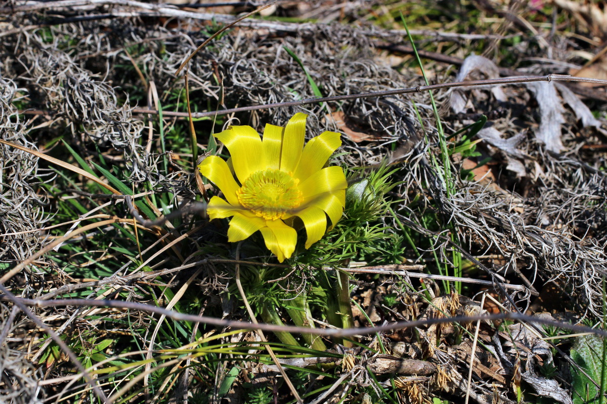 2014_03_14_00037421p_Bildgr��e �ndern