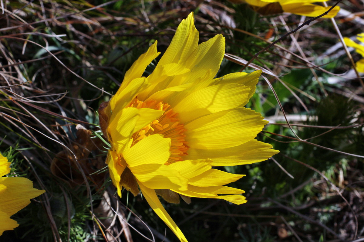 2014_03_14_00037425p_Bildgr��e �ndern