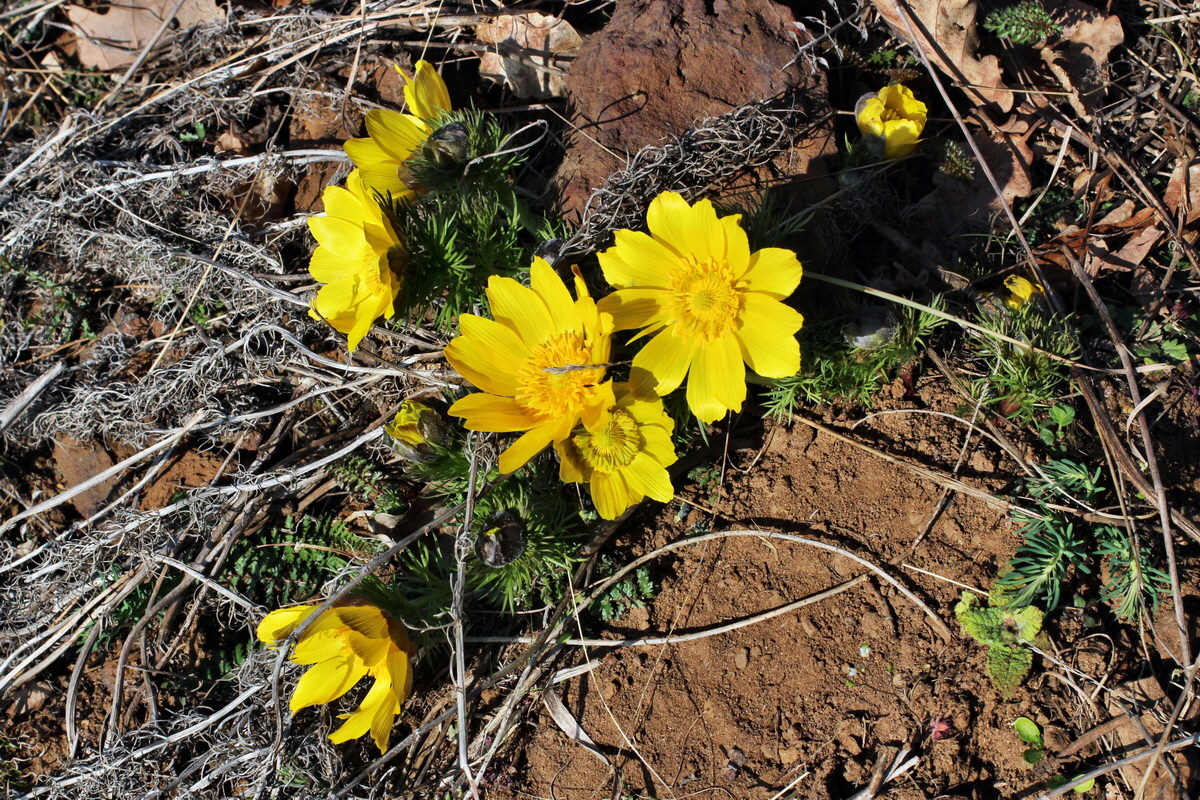 2014_03_14_00037431p_Bildgr��e �ndern