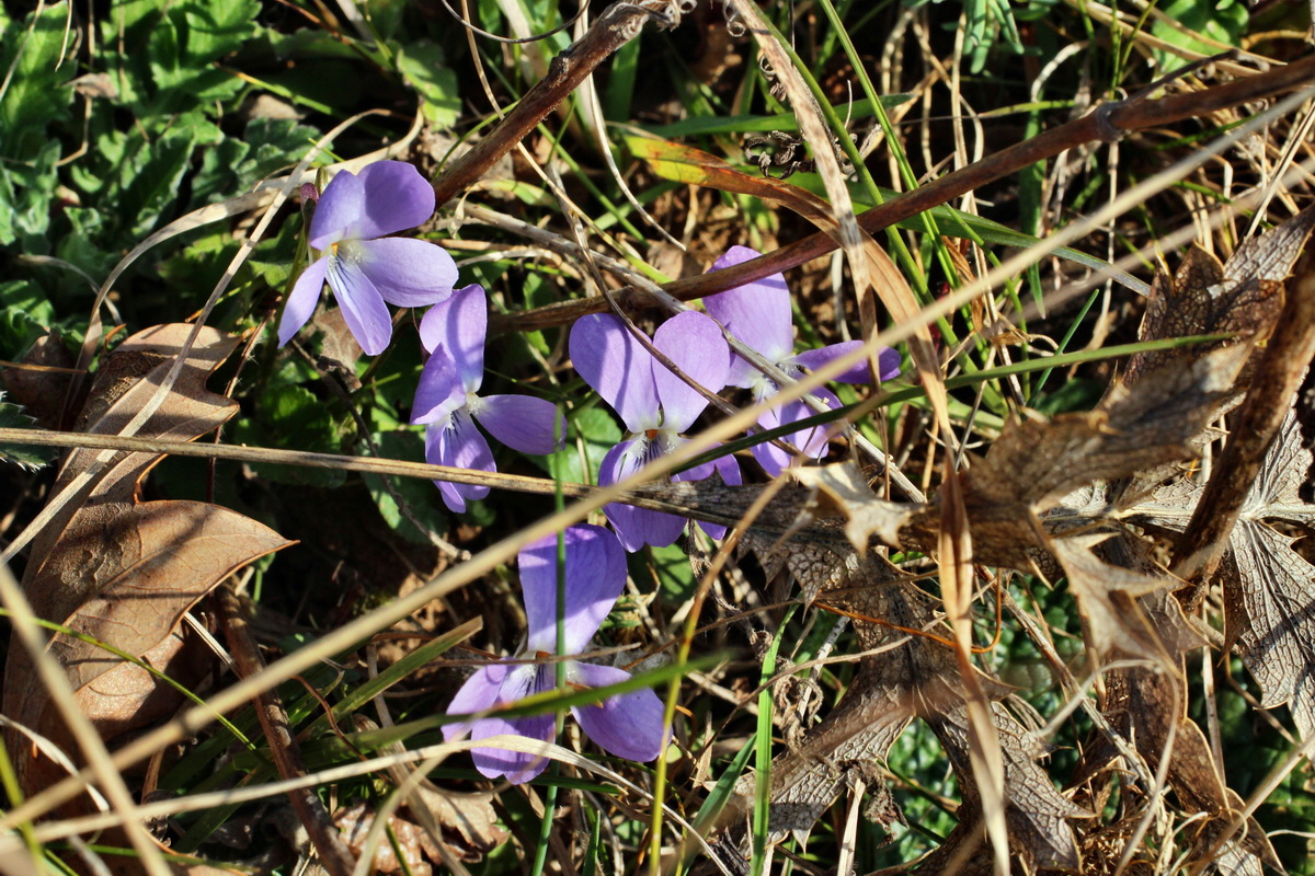 2014_03_14_00037438p_Bildgr��e �ndern