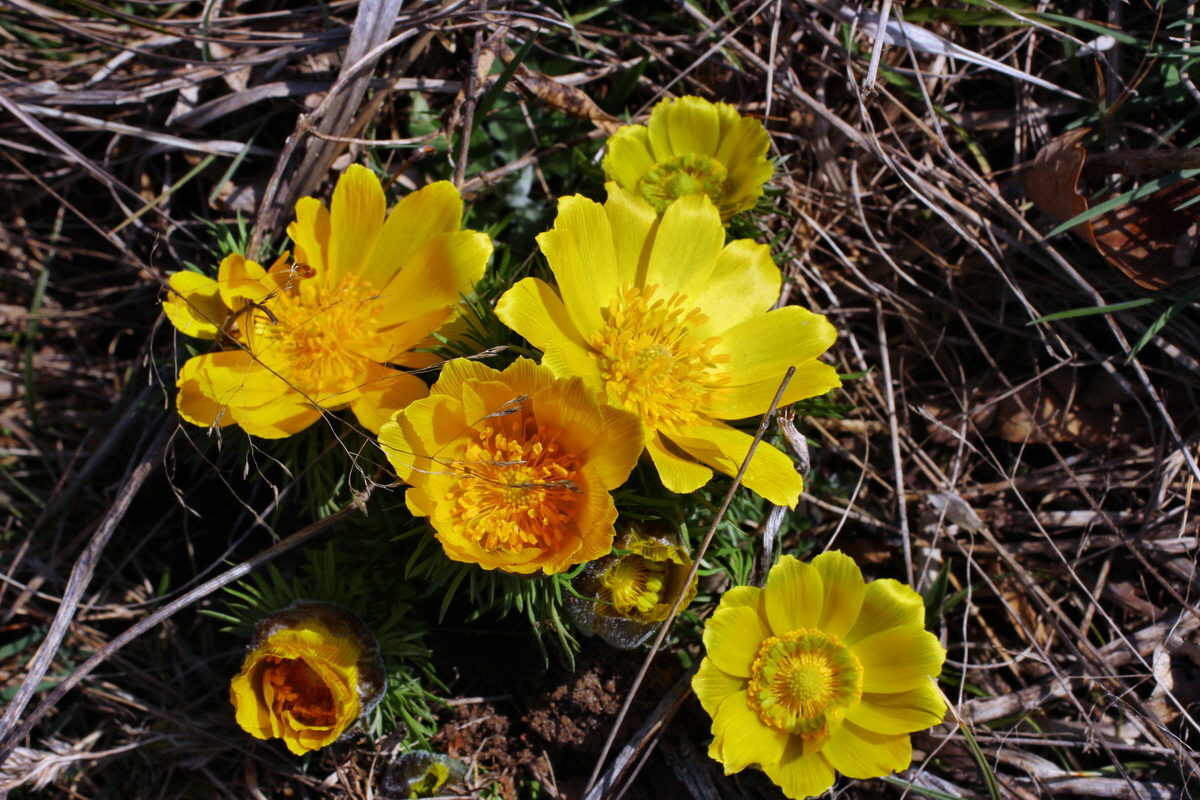 2014_03_14_00037441p_Bildgr��e �ndern