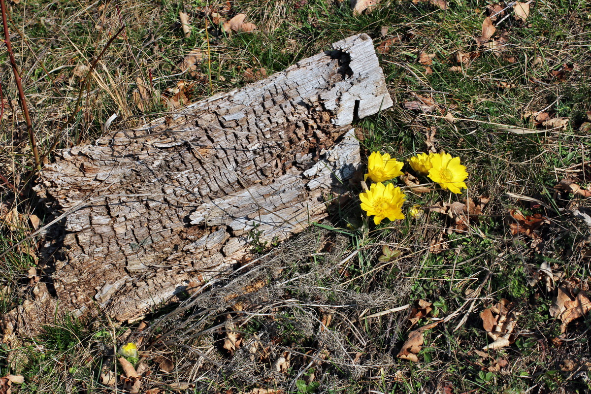 2014_03_14_00037443p_Bildgr��e �ndern