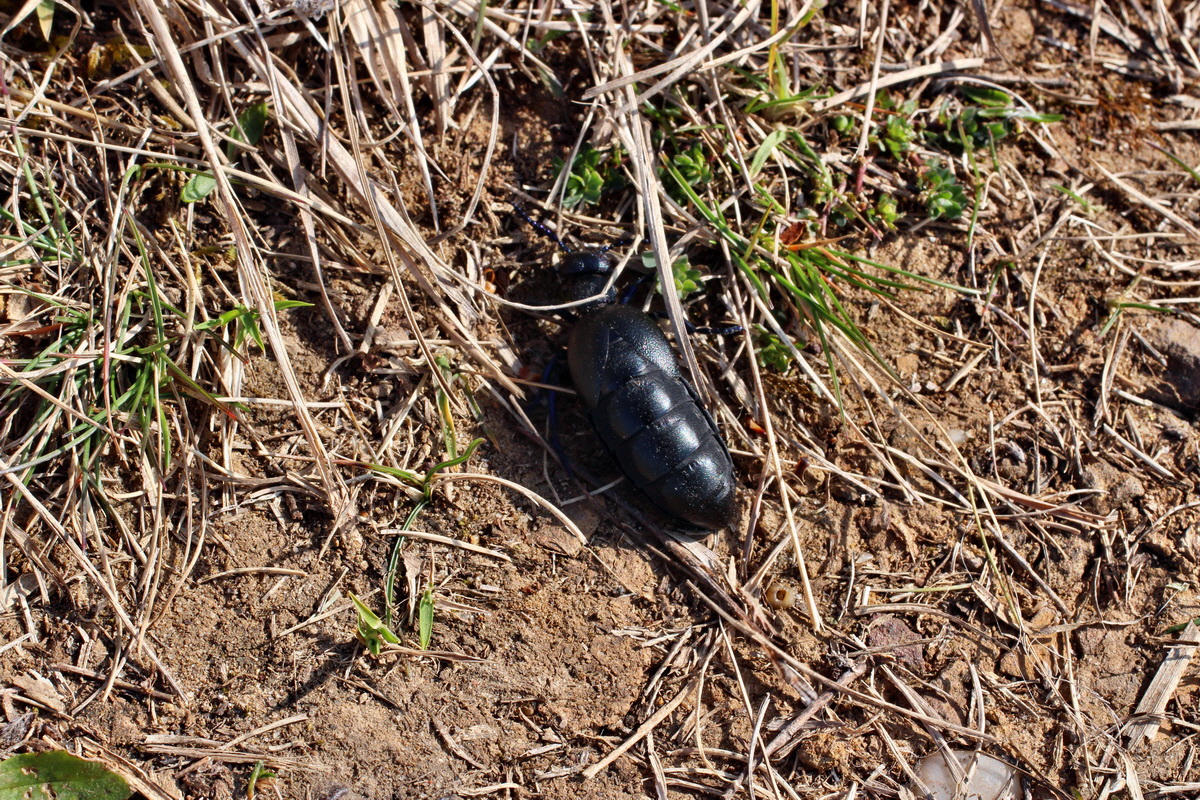 2014_03_14_00037446p_Bildgr��e �ndern