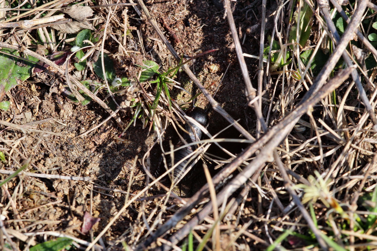 2014_03_14_00037466p_Bildgr��e �ndern