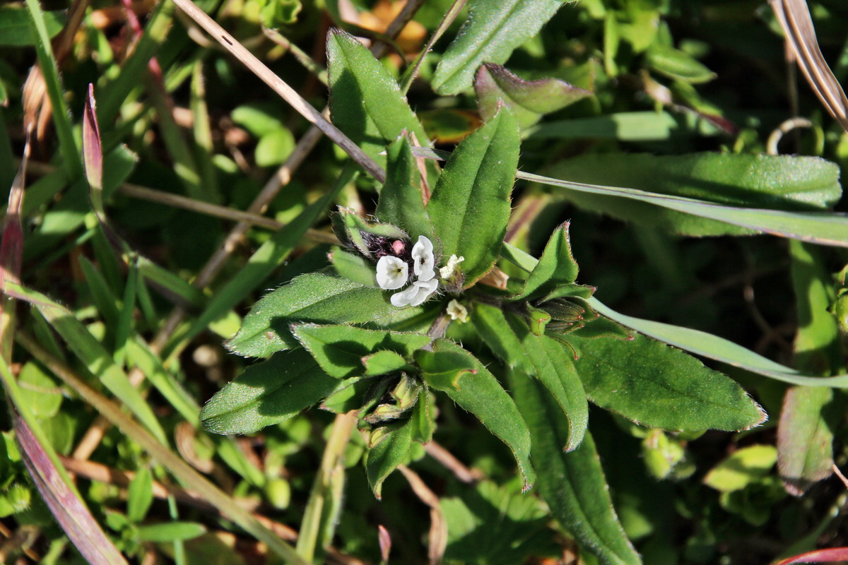 2014_03_14_00037472p_Bildgr��e �ndern