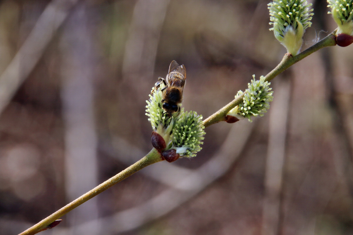 2014_03_14_00037486p_Bildgr��e �ndern