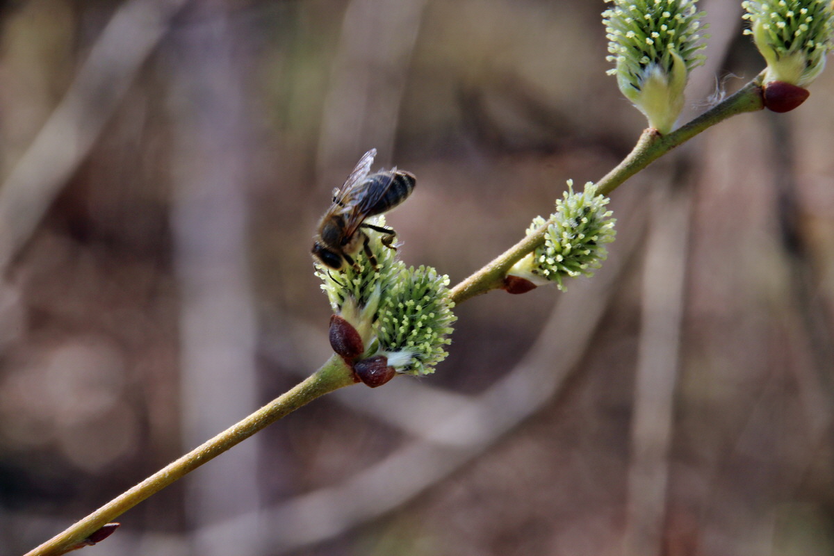 2014_03_14_00037492p_Bildgr��e �ndern