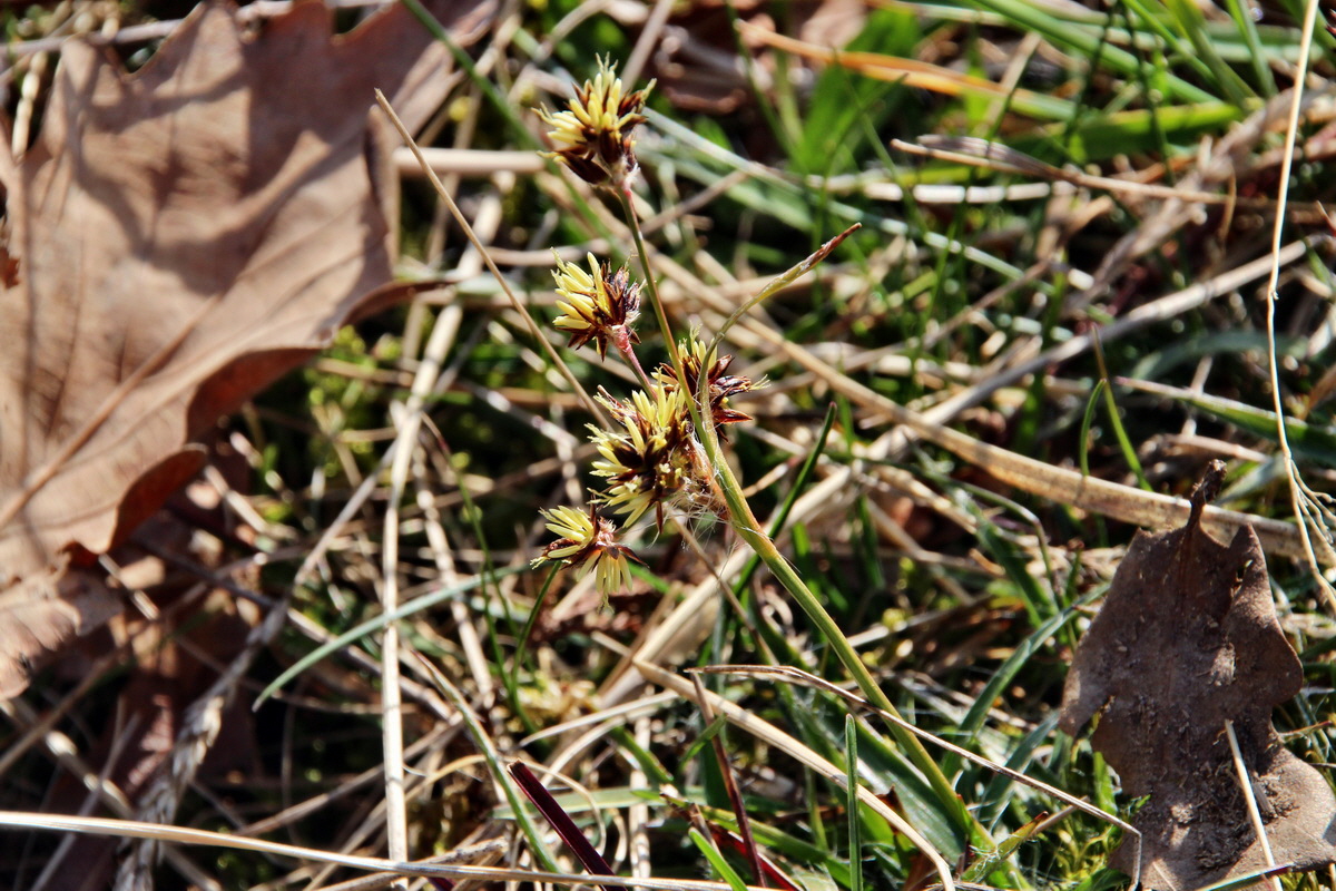 2014_03_14_00037503p_Bildgr��e �ndern