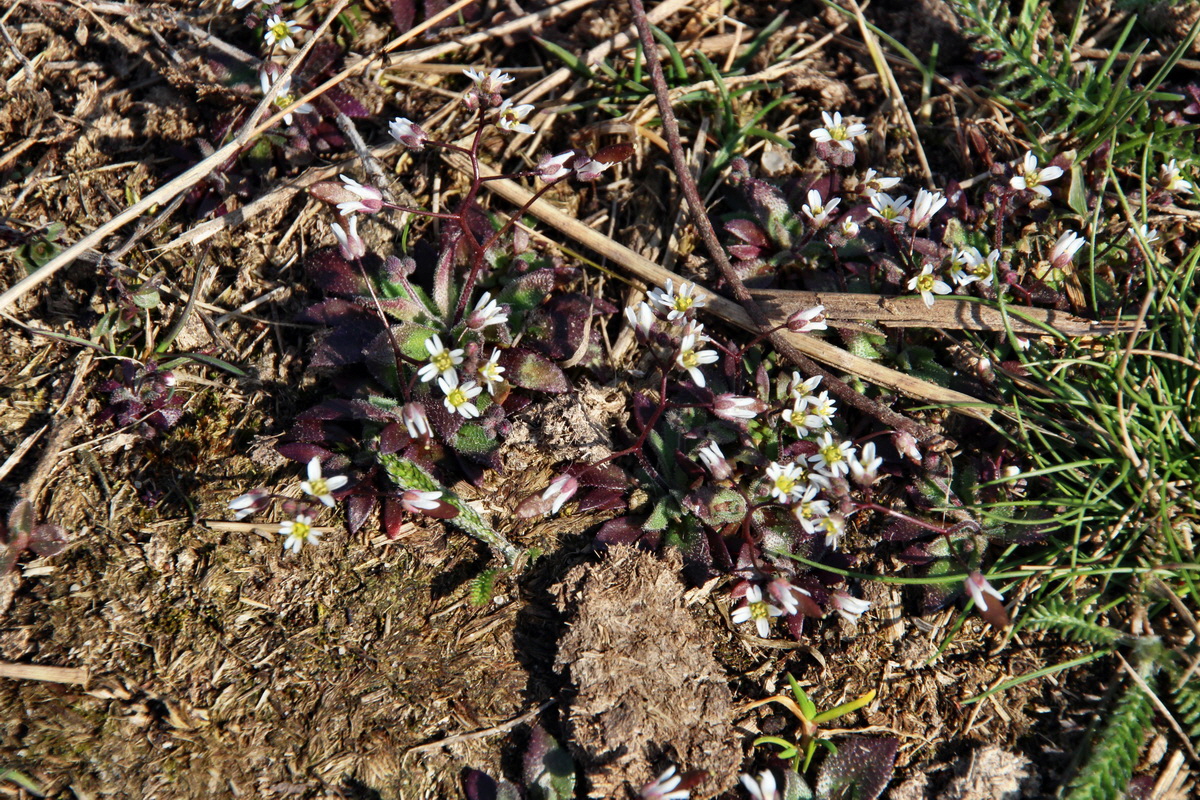 2014_03_14_00037507p_Bildgr��e �ndern