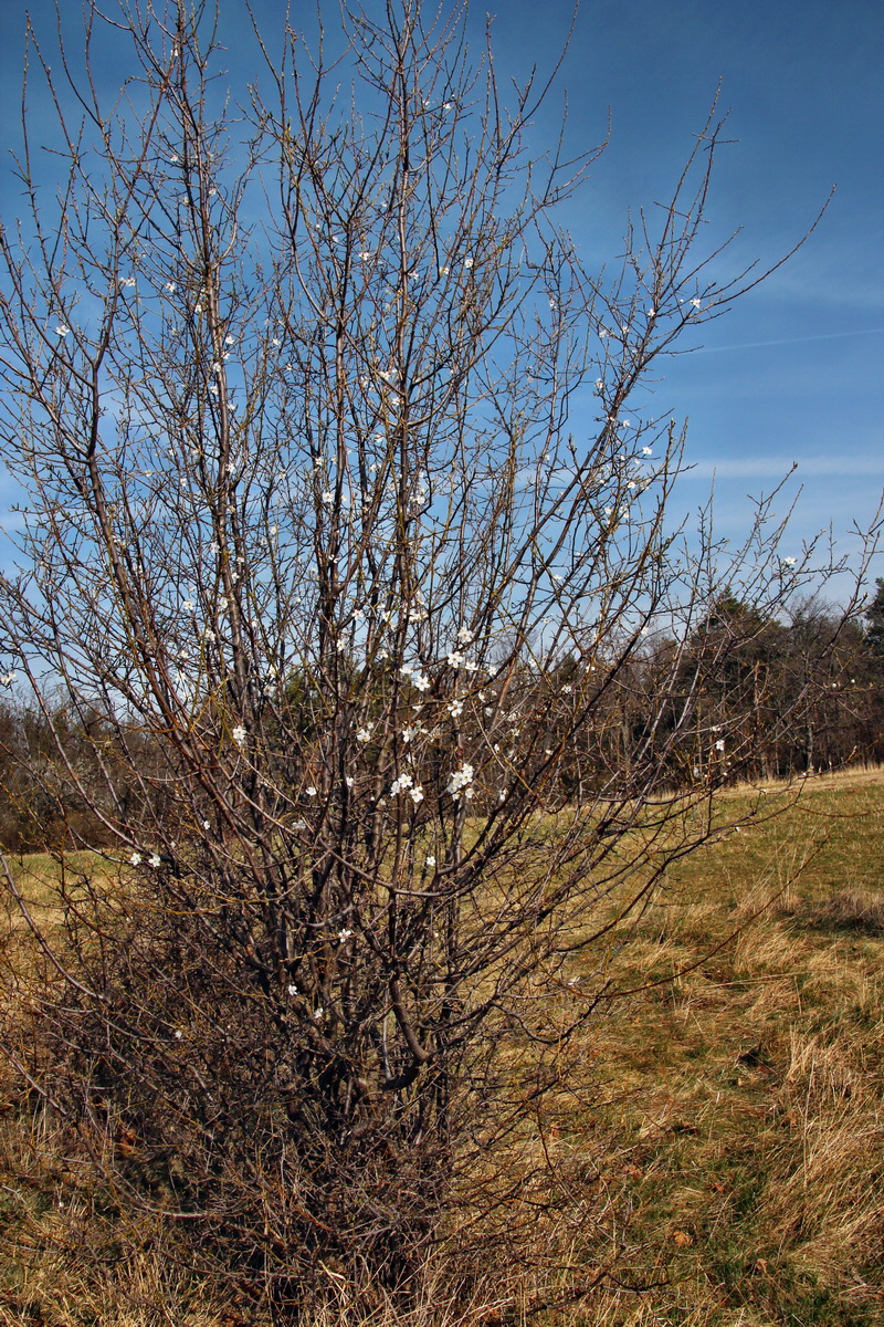 2014_03_14_00037510p_Bildgr��e �ndern