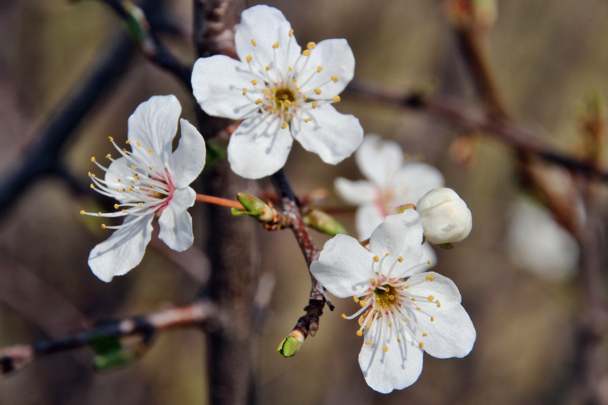 2014_03_14_00037512p_Bildgr��e �ndern