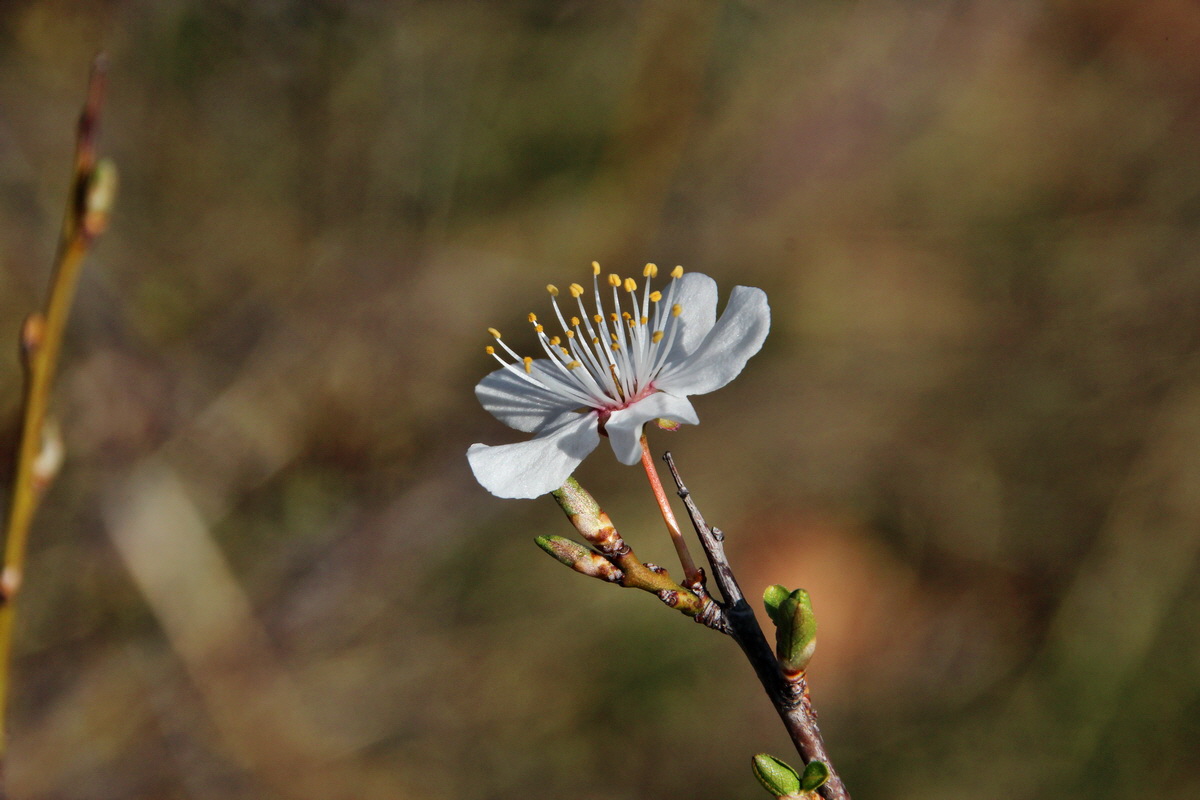 2014_03_14_00037519p_Bildgr��e �ndern