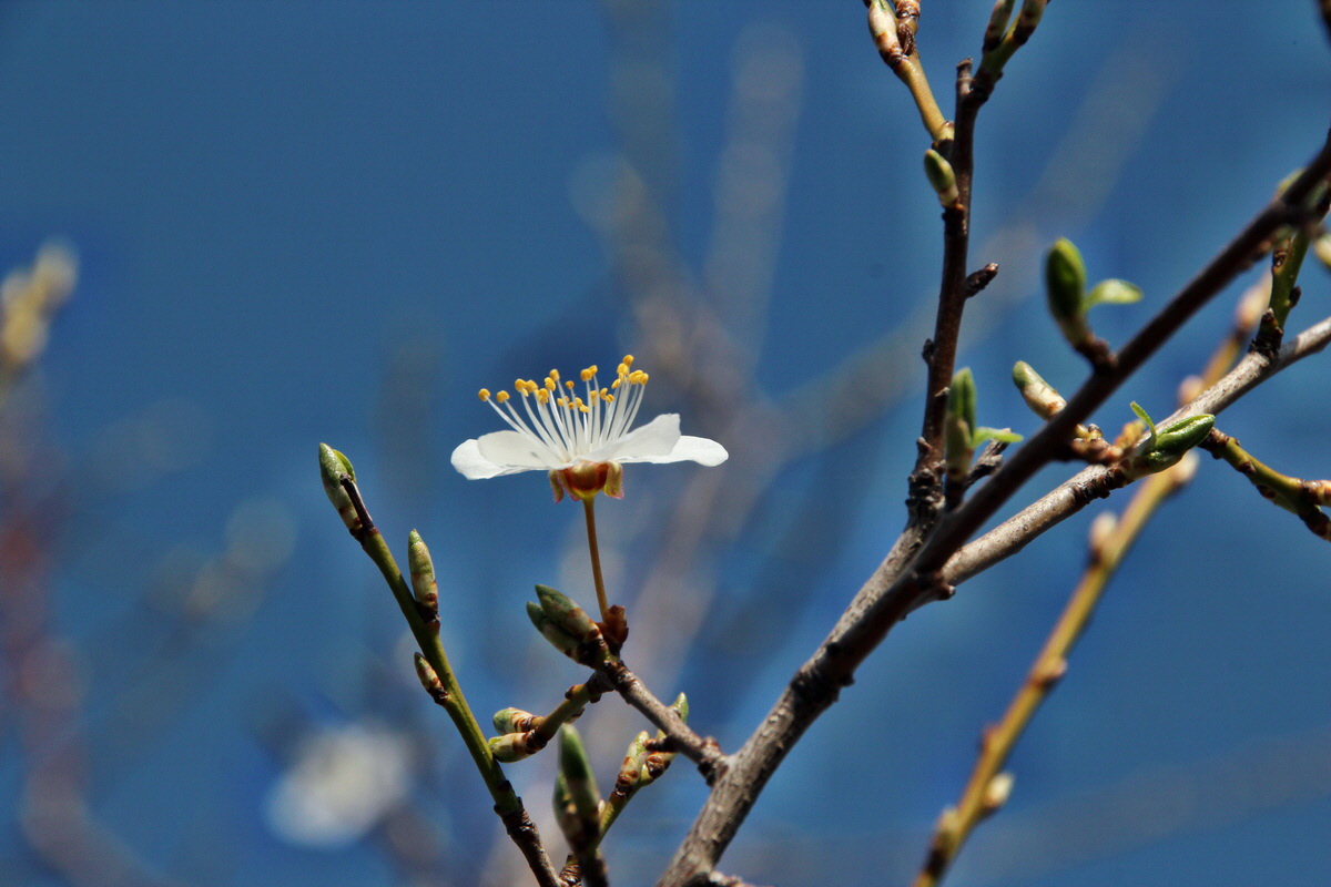 2014_03_14_00037524p_Bildgr��e �ndern