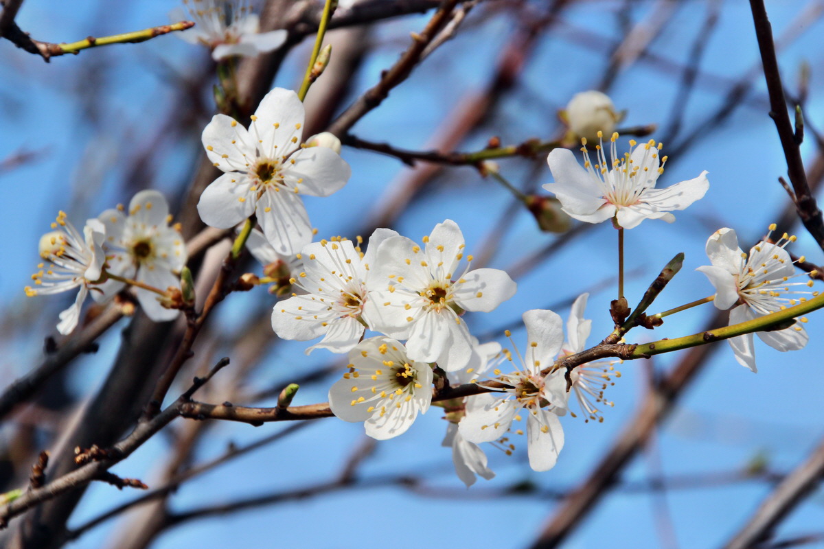 2014_03_14_00037527p_Bildgr��e �ndern