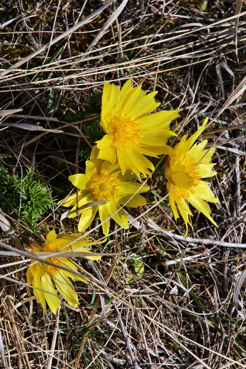 2014_03_14_00037569p_Bildgr��e �ndern