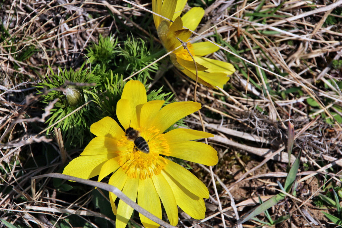 2014_03_14_00037584p_Bildgr��e �ndern