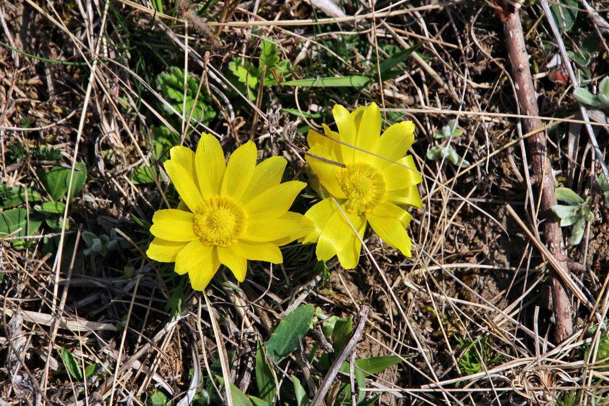 2014_03_14_00037594p_Bildgr��e �ndern