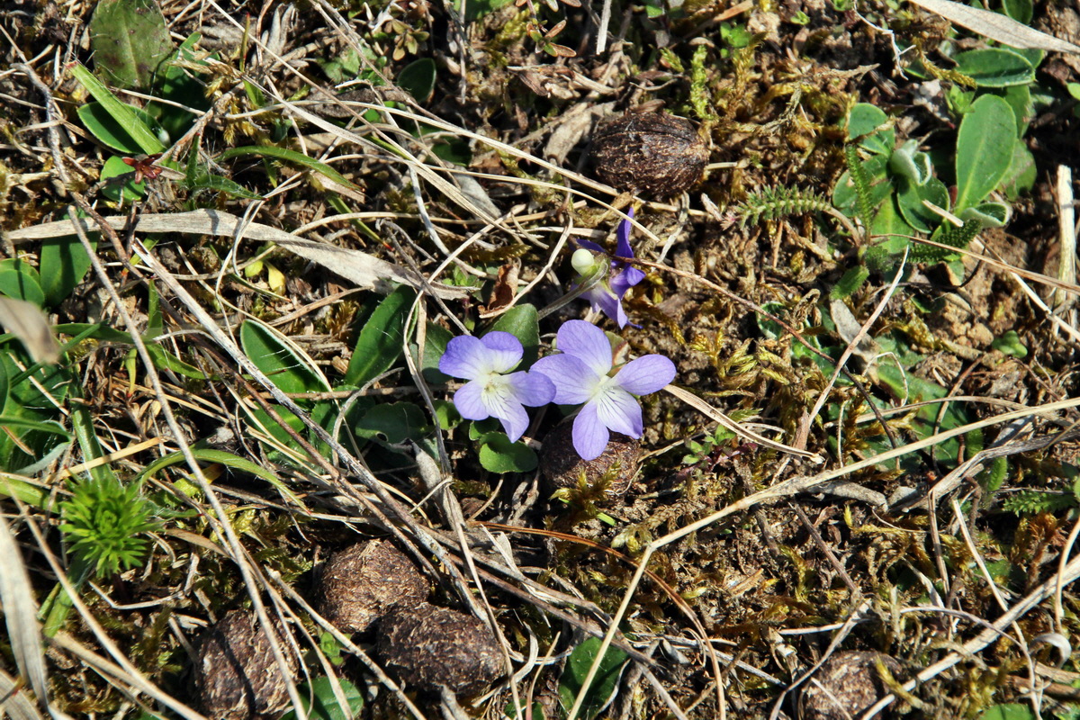 2014_03_14_00037599p_Bildgr��e �ndern