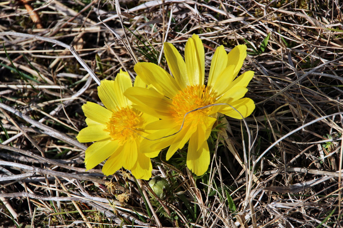 2014_03_14_00037635p_Bildgr��e �ndern