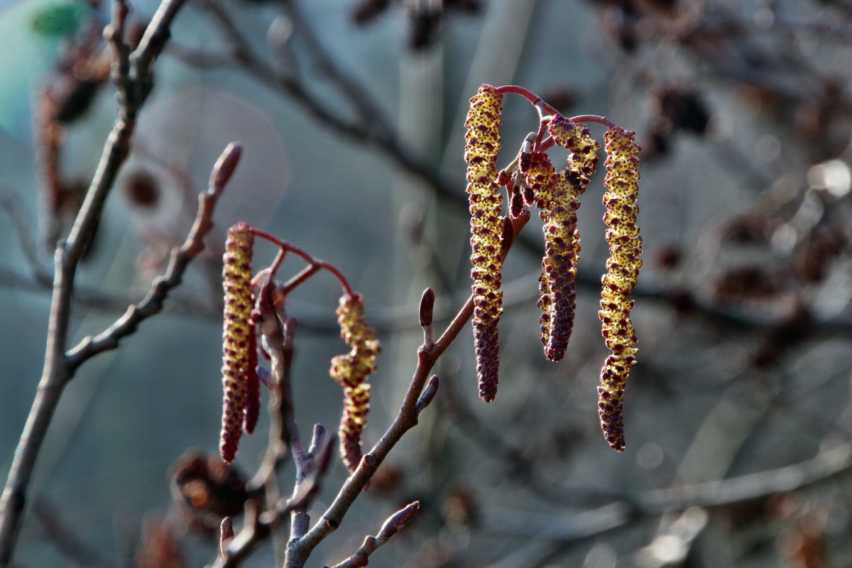 2014_03_14_00037639p_Bildgr��e �ndern