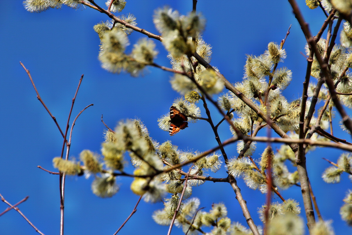 2014_03_14_00037660p_Bildgr��e �ndern