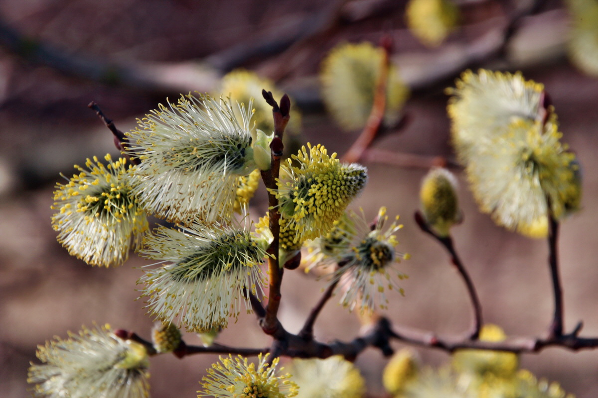 2014_03_14_00037665p_Bildgr��e �ndern