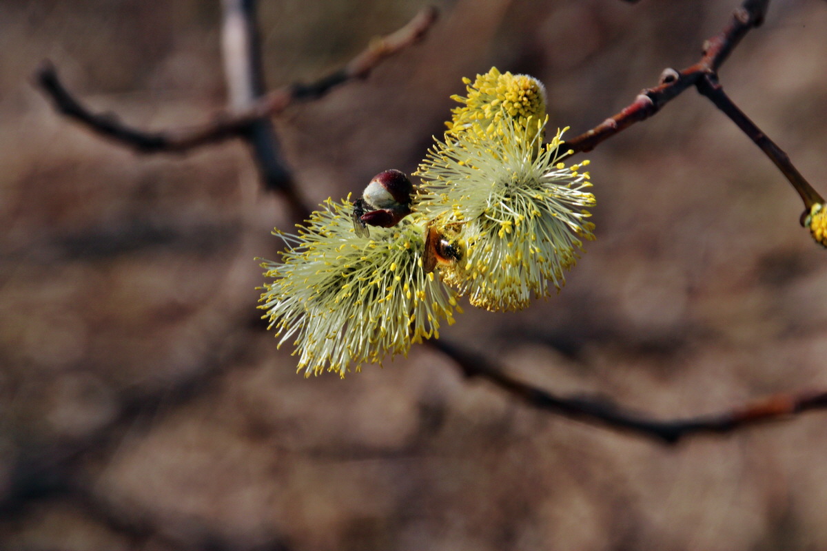 2014_03_14_00037669p_Bildgr��e �ndern